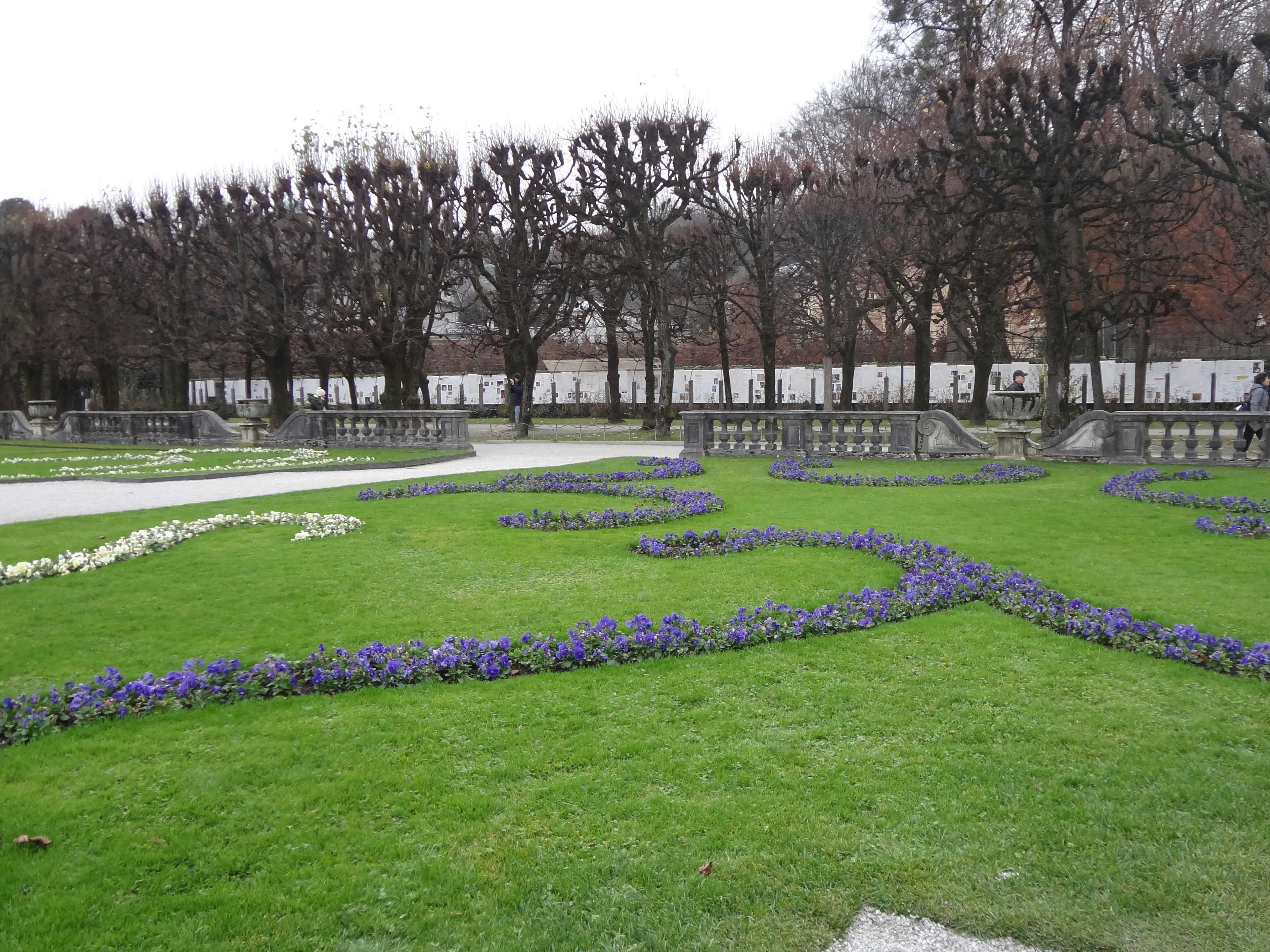 a green lawn with blue flowers in the middle of it, mirabell garden salzburg austria