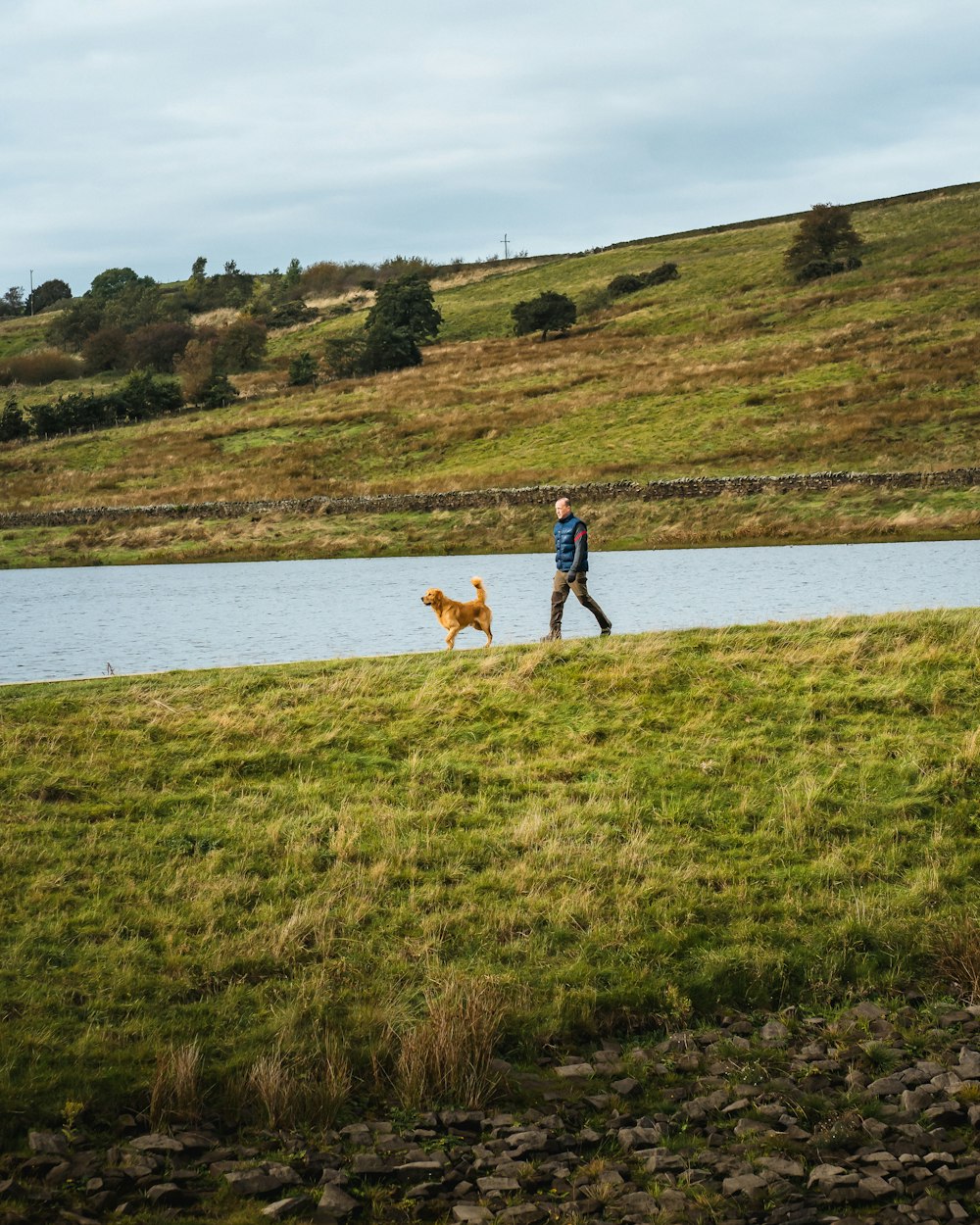After: person and golden dog calmly walking side by side along a lake
