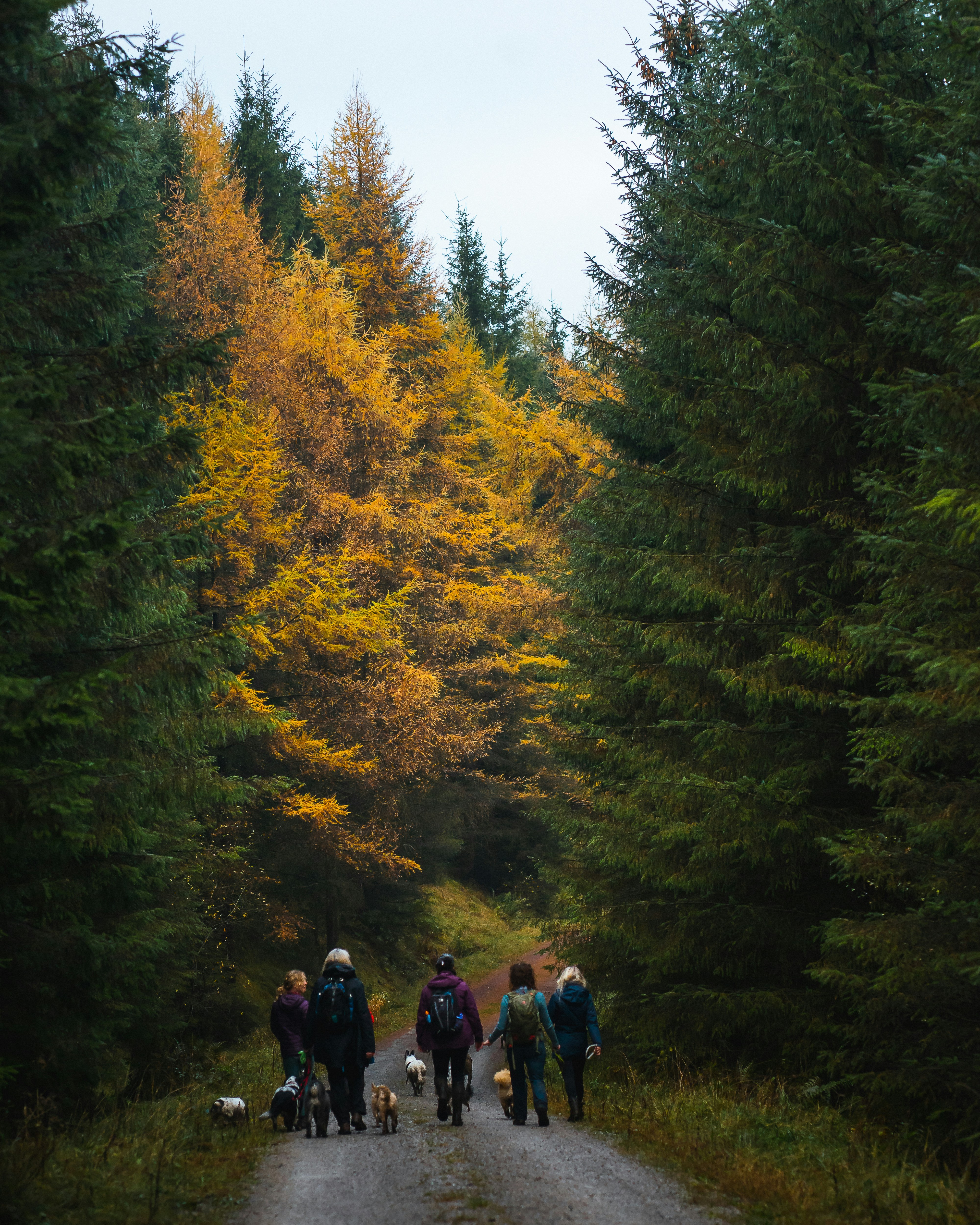 Photo by samuelgirven