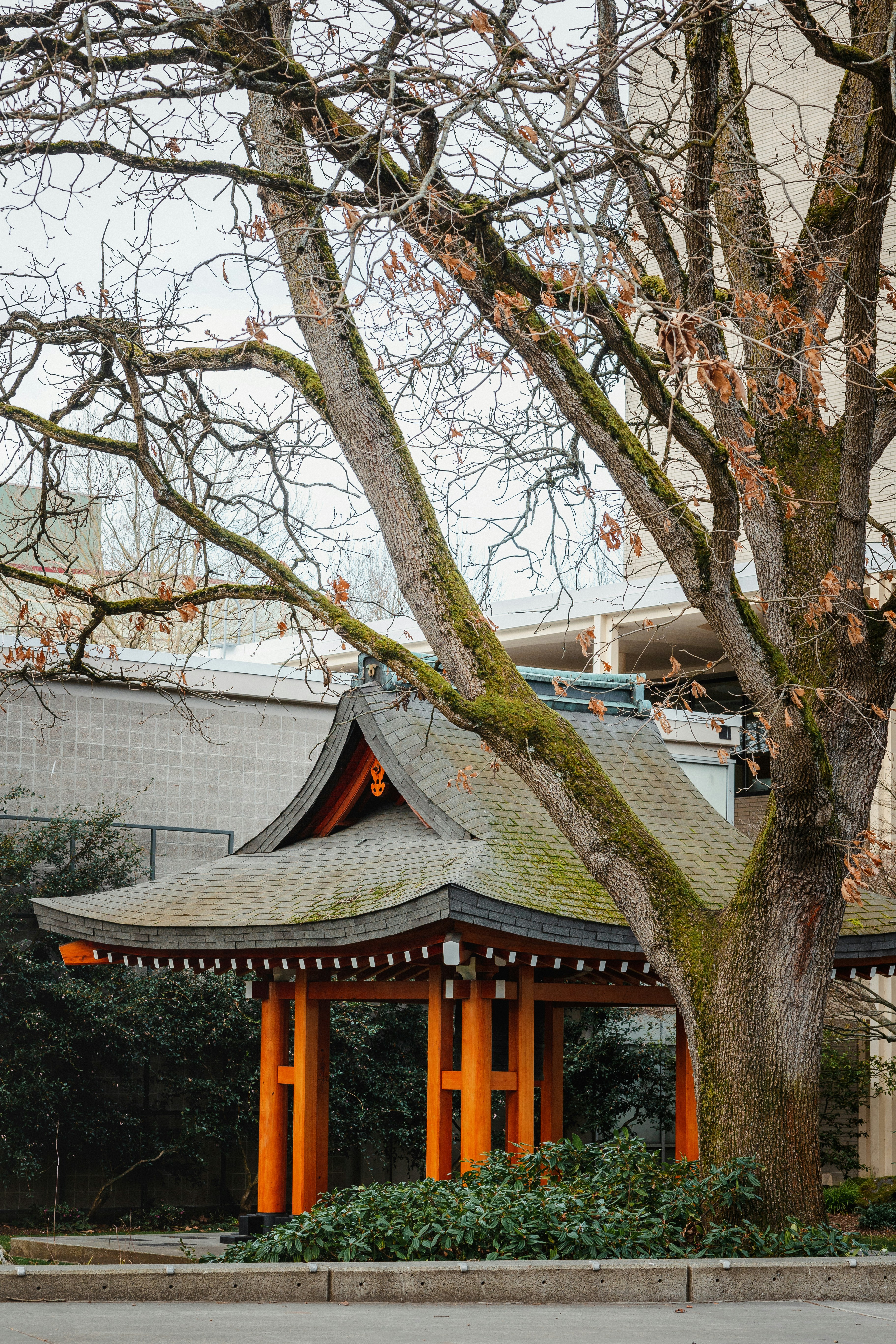 Photo by ninjason