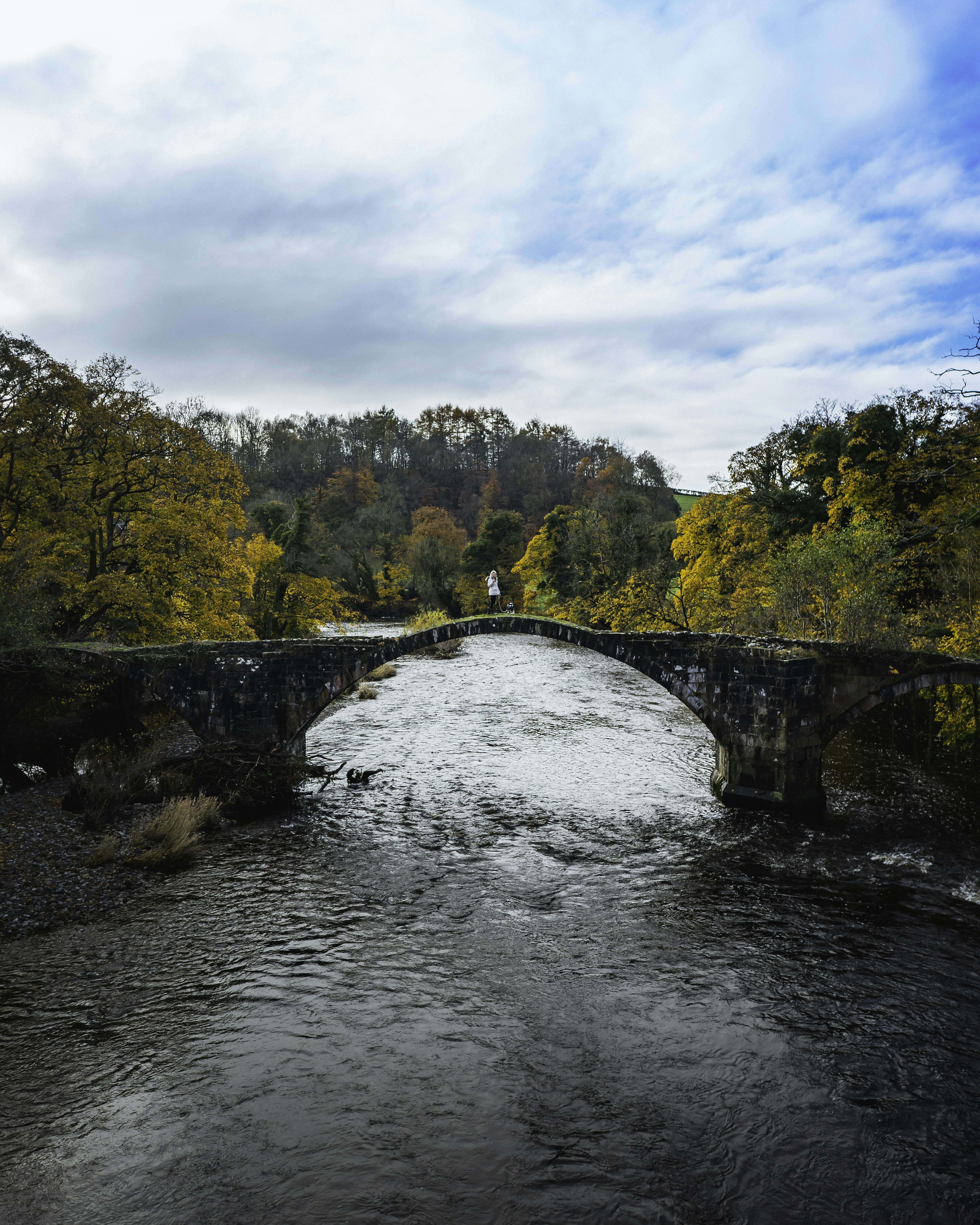 Photo by samuelgirven