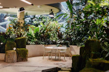 Interior garden with lush greenery and comfortable seating, creating a peaceful retreat.