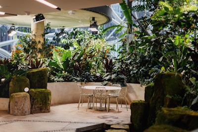 A lush indoor garden with abundant greenery surrounding a seating area with a metal table and chairs. The atmosphere combines natural and modern elements, including large rocks with moss and overhead lighting against a backdrop of large glass windows.
