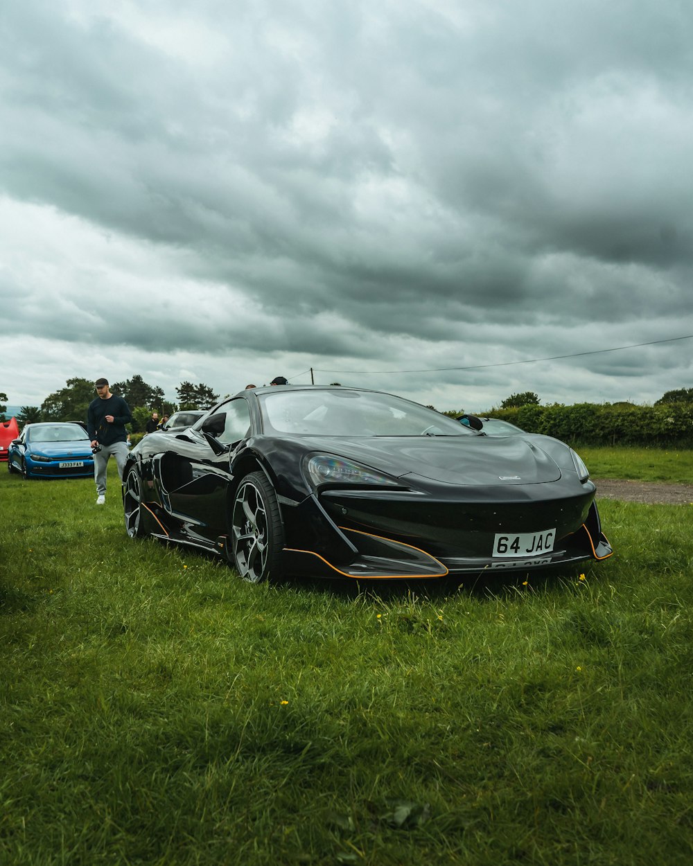 a black sports car parked on top of a lush green field