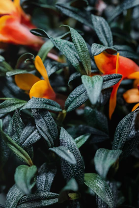 A close-up of a saturated watercolor painting featuring lush green leaves and bright citrus blossoms bleeding into a creamy background.