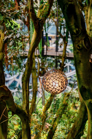 The hanging lamp suspended over a cozy home dining space, blending design with nature.
