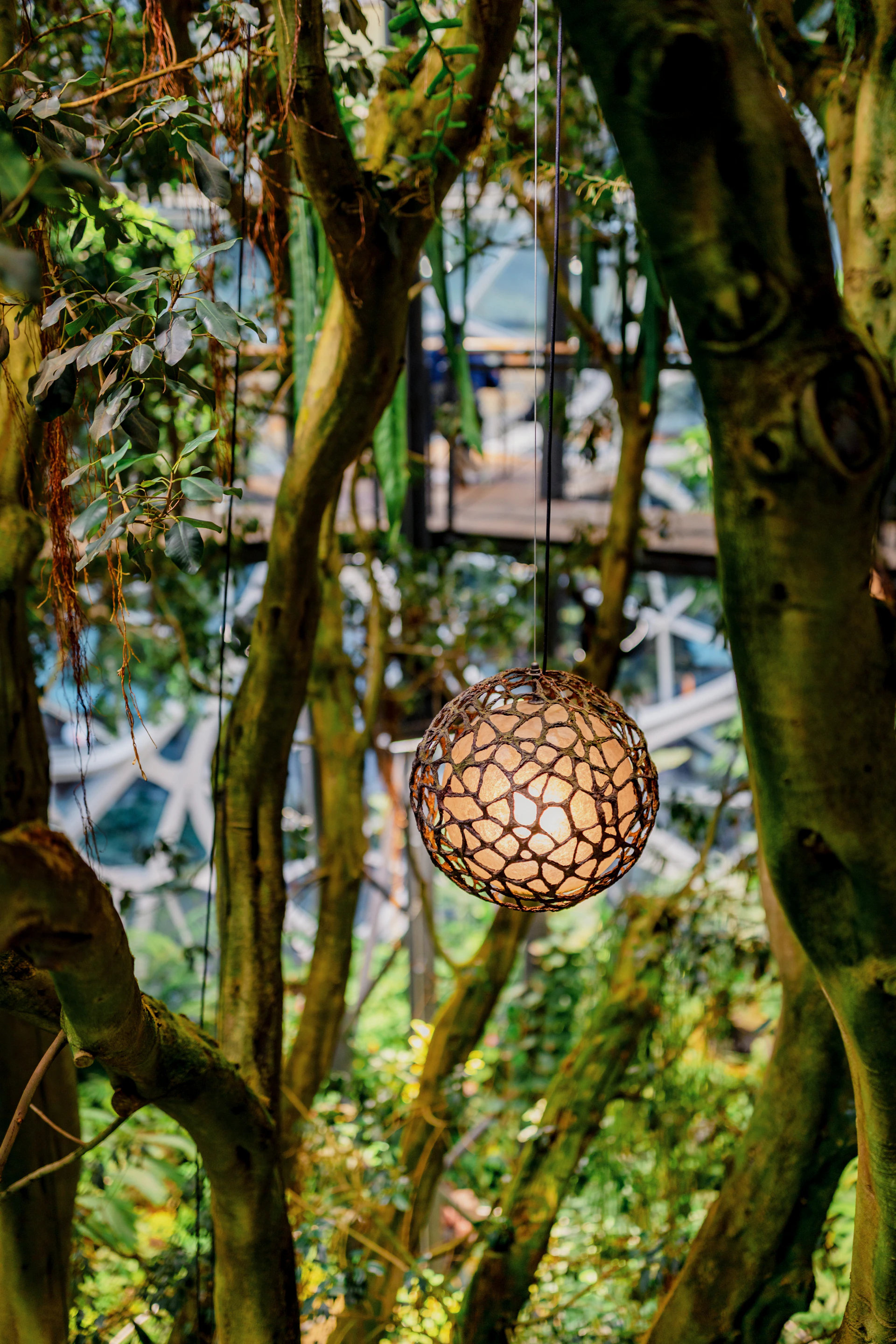 gray computer monitor