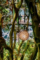 A spherical light fixture with a woven, natural design hangs amidst lush green foliage of a forest-like setting. Thick tree trunks and branches surround the lamp, creating an ambiance of being in an indoor botanical space.