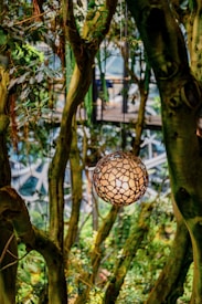 A spherical light fixture with a woven, natural design hangs amidst lush green foliage of a forest-like setting. Thick tree trunks and branches surround the lamp, creating an ambiance of being in an indoor botanical space.