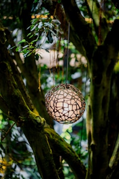 An intricately designed spherical lantern hangs amidst dense foliage. The lantern emits a warm, ambient light, casting a patterned glow on the surrounding green leaves. The tree trunks and branches provide a natural frame, enhancing the rustic and serene atmosphere of the scene.