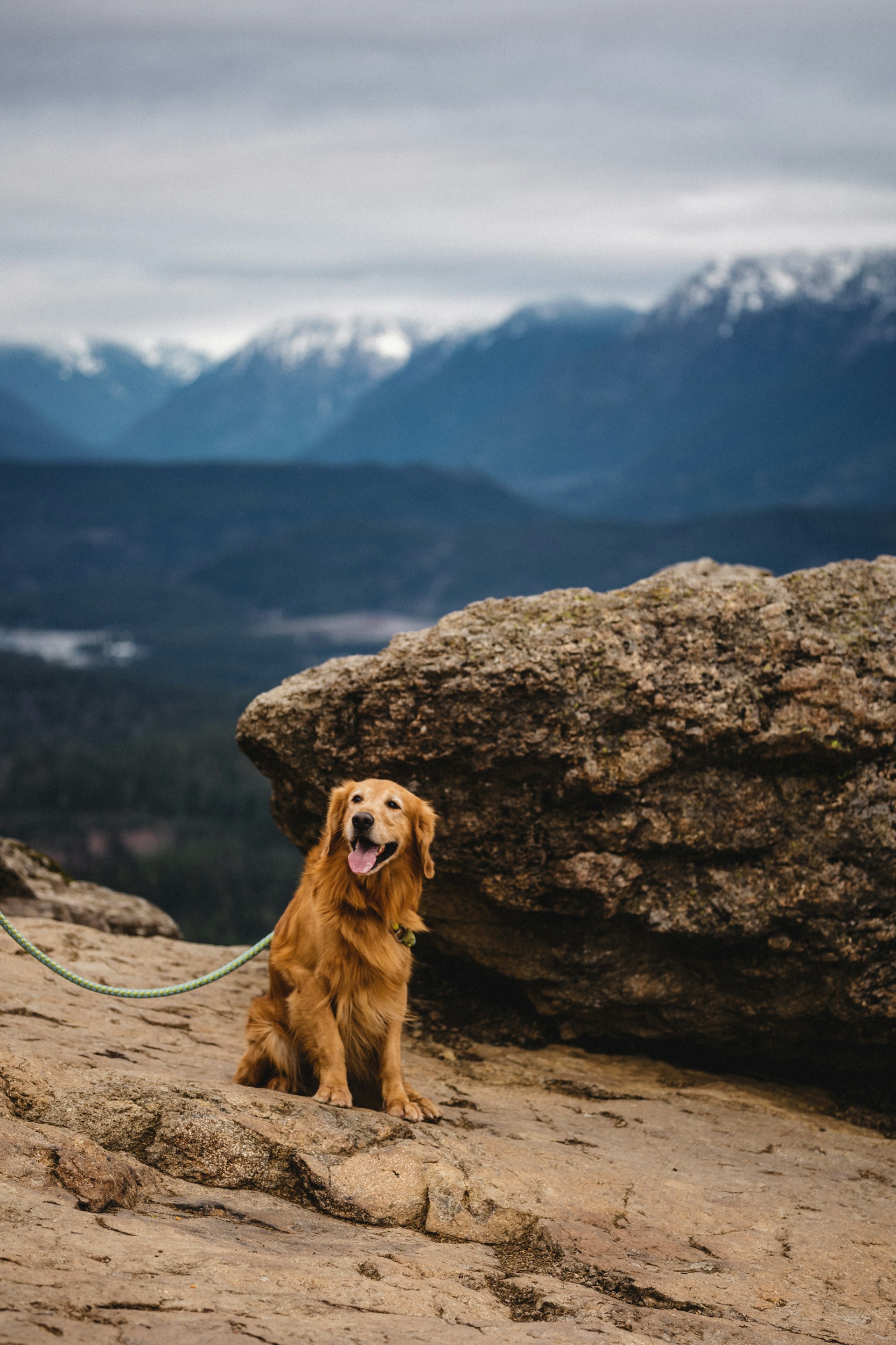 woman wearing yellow long-sleeved dress under white clouds and blue sky during daytime