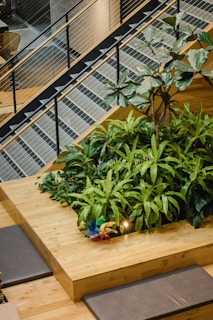 A staircase with metal railings and wooden steps is visible. Next to it is a large indoor plant area with green foliage, placed on a wooden platform. The setting appears to be modern and indoors, possibly an office or public space, with seating cushions on the wooden platform.