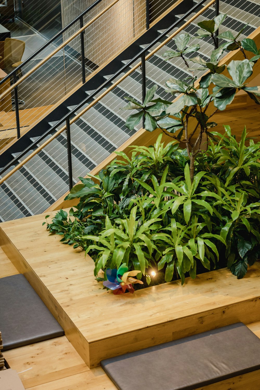 a plant is growing on a wooden platform