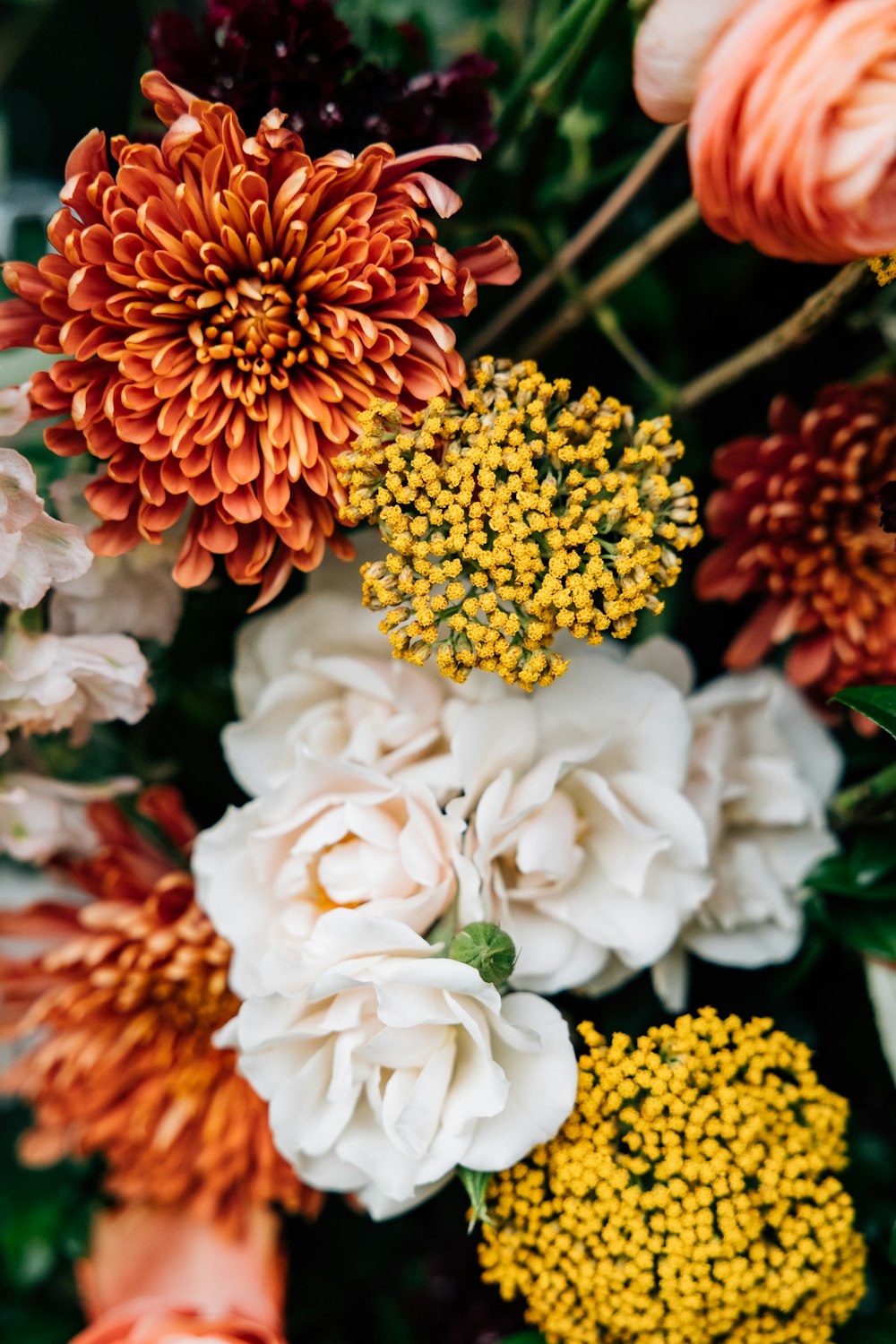 a close up of a bunch of flowers