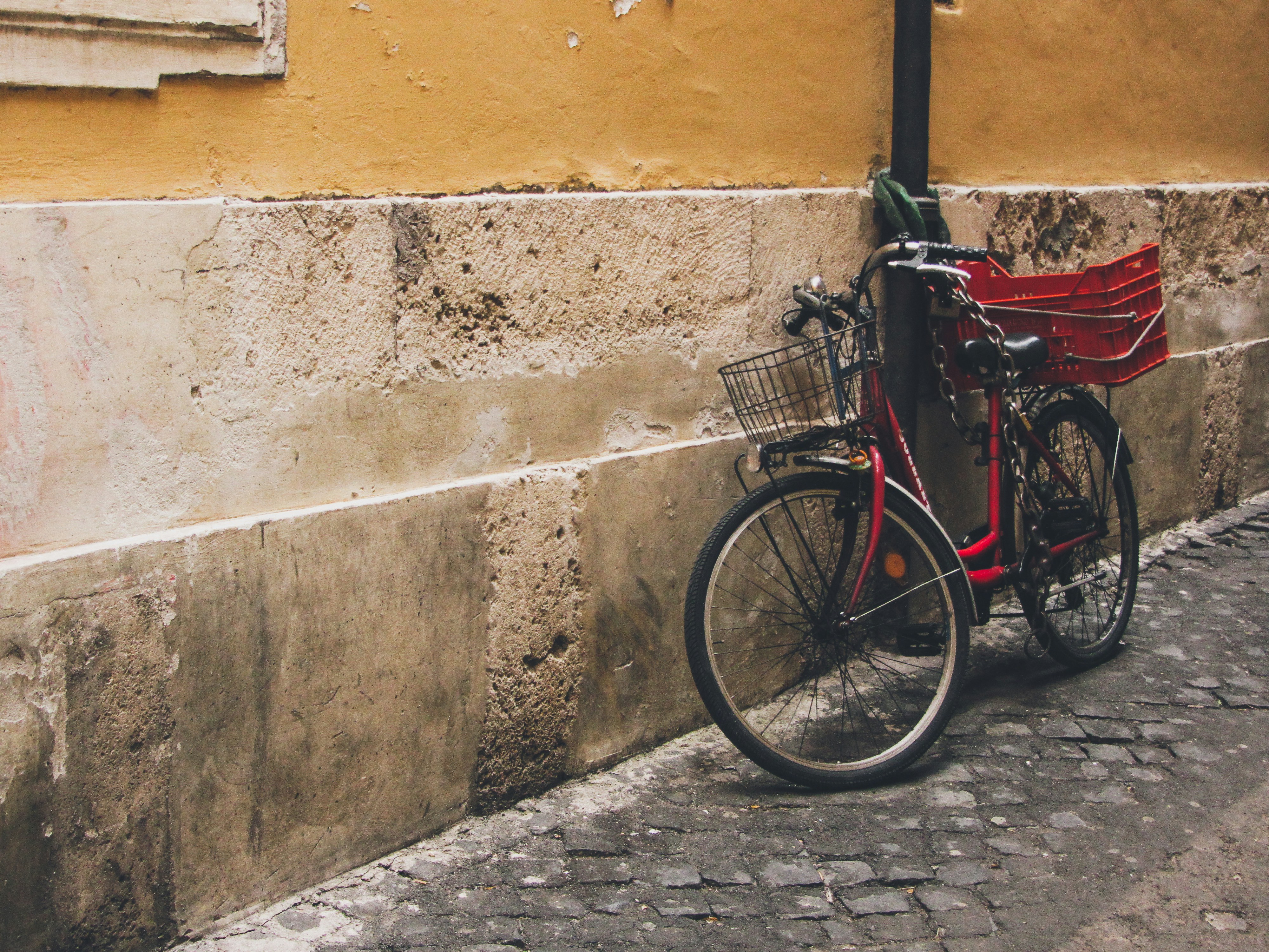 Photo by clovegrove7