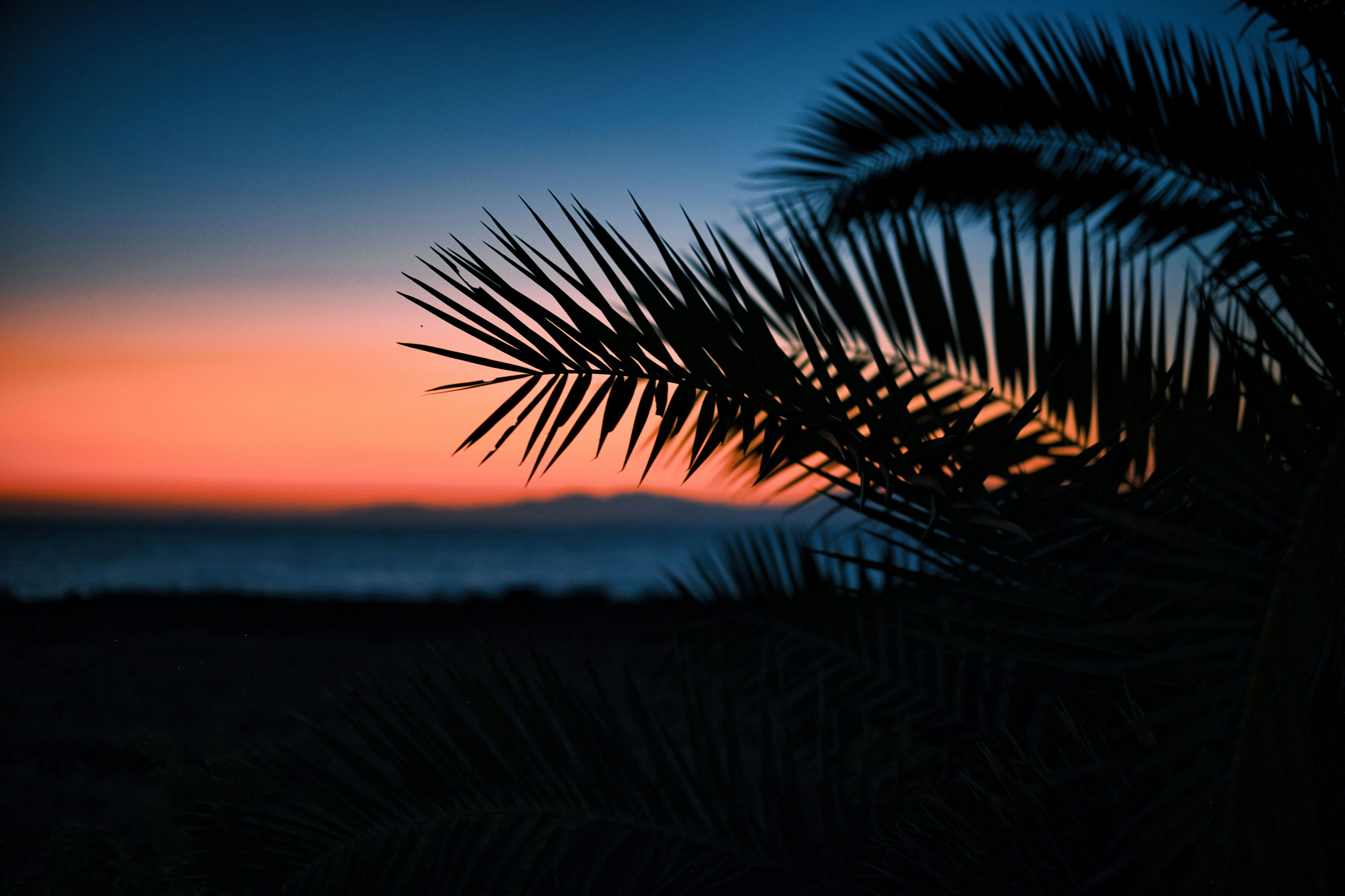 Photo by x8invisible