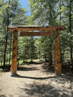 A rustic wooden arch stands at the entrance of a forest trail, with the name 'Cedar Bluff Trail' carved into it. The path is lined with dense trees and covered in shaded gravel, capturing sunlight filtering through the forest canopy.