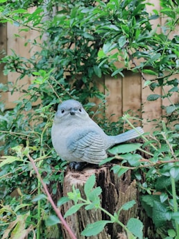 A life-like bird sculpture is placed on an old tree stump surrounded by lush green foliage. The sculpture has detailed features and is made primarily of a stone-like material. The background shows a wooden fence adding a rustic feel to the scene.