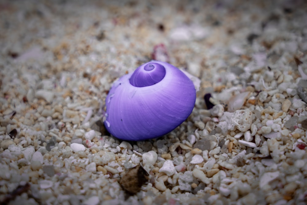 a purple object on a bed of gravel