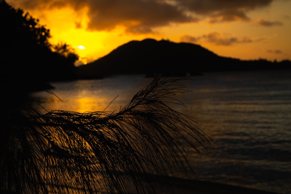 Il sole sta tramontando su uno specchio d'acqua