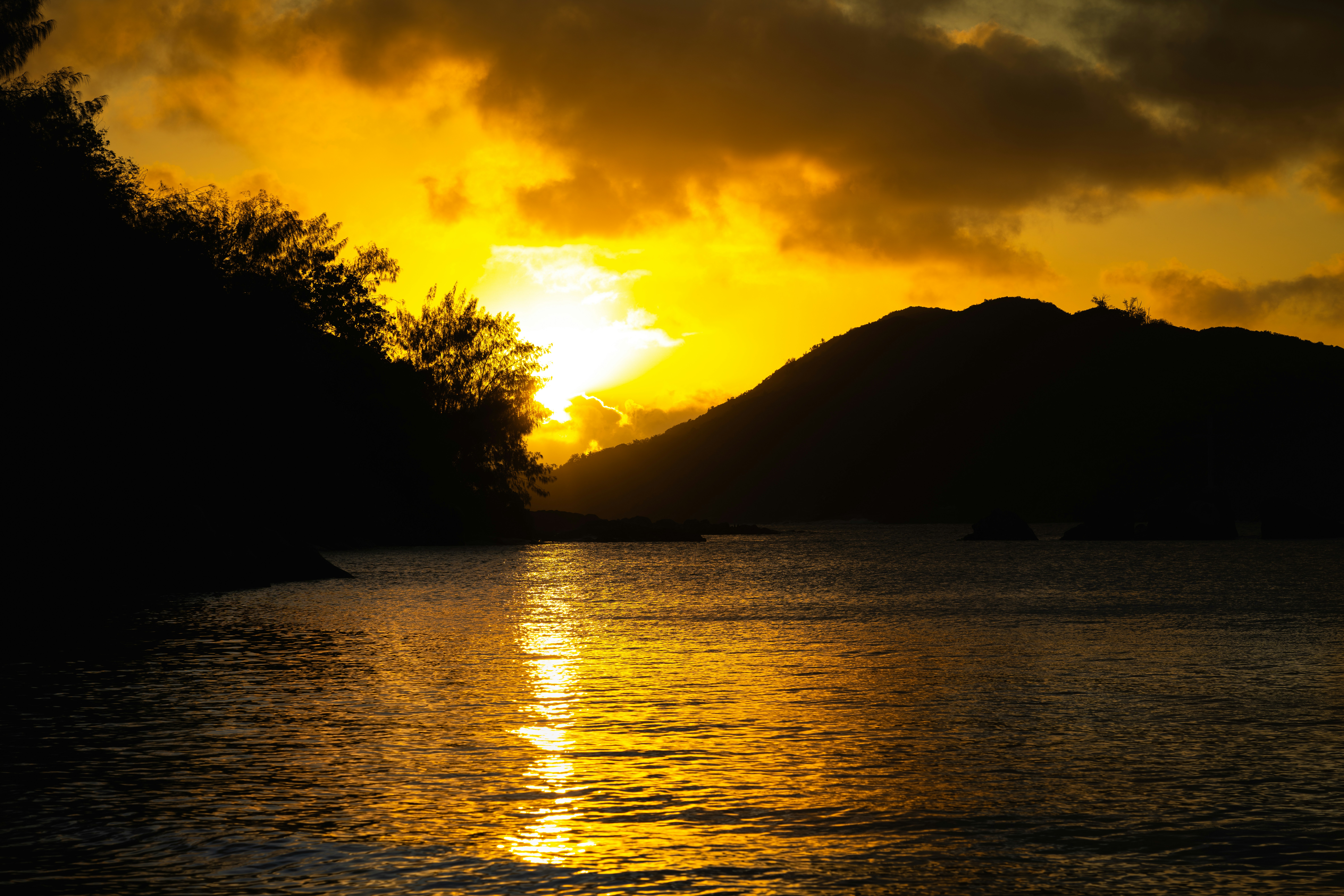 Photo by picture_scape