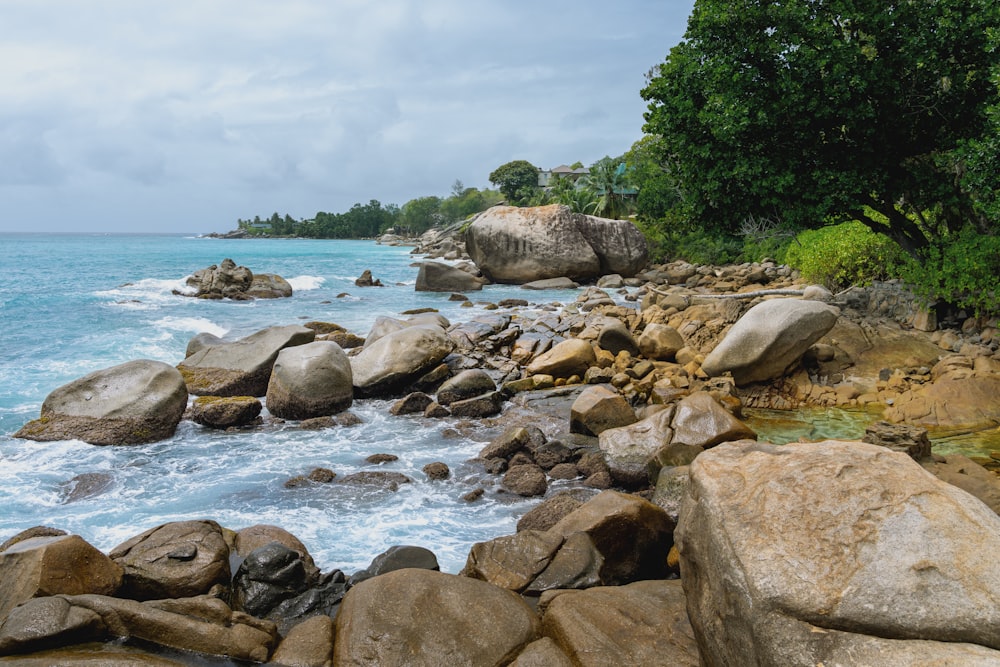 a rocky beach with a body of water and trees