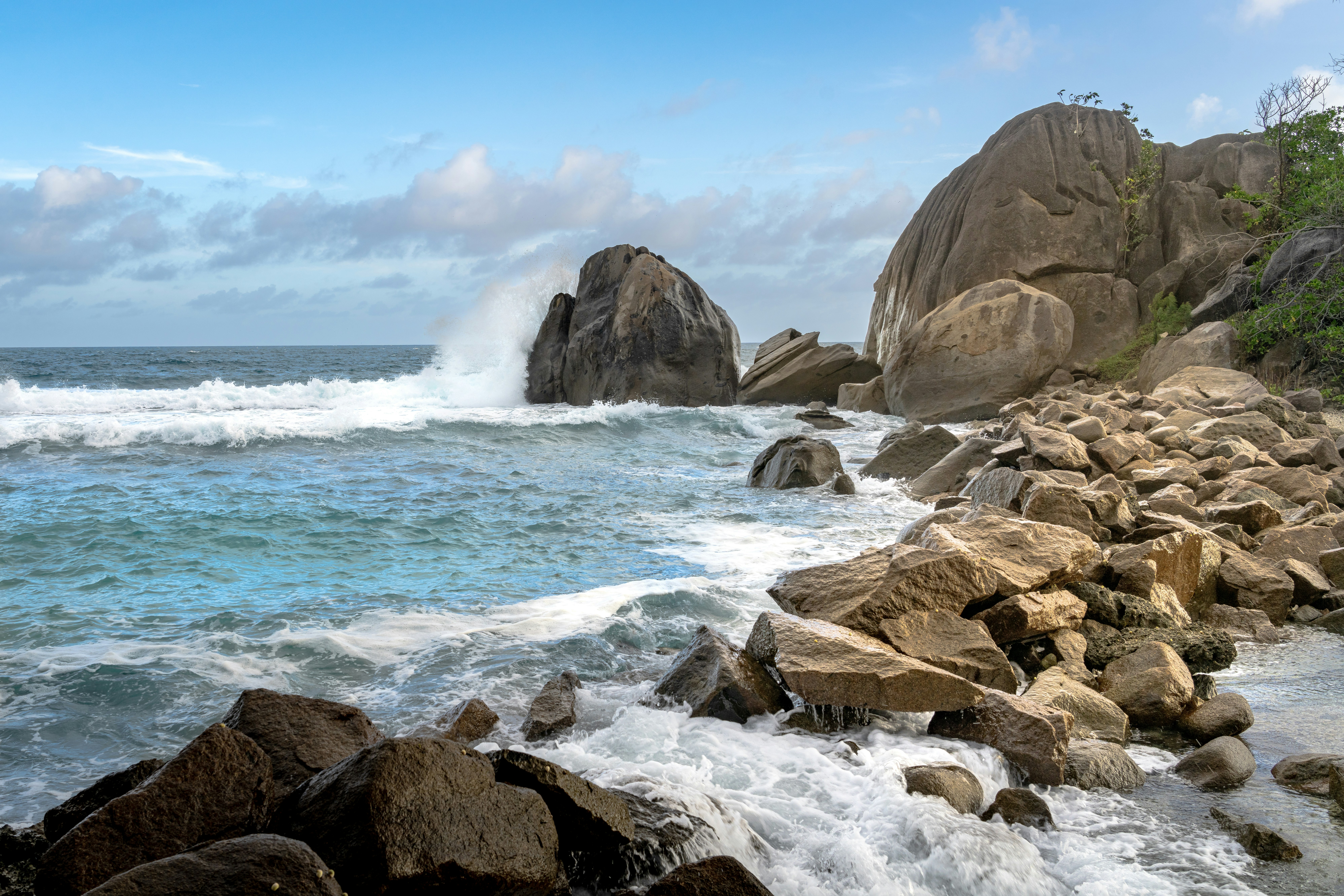 Photo by picture_scape