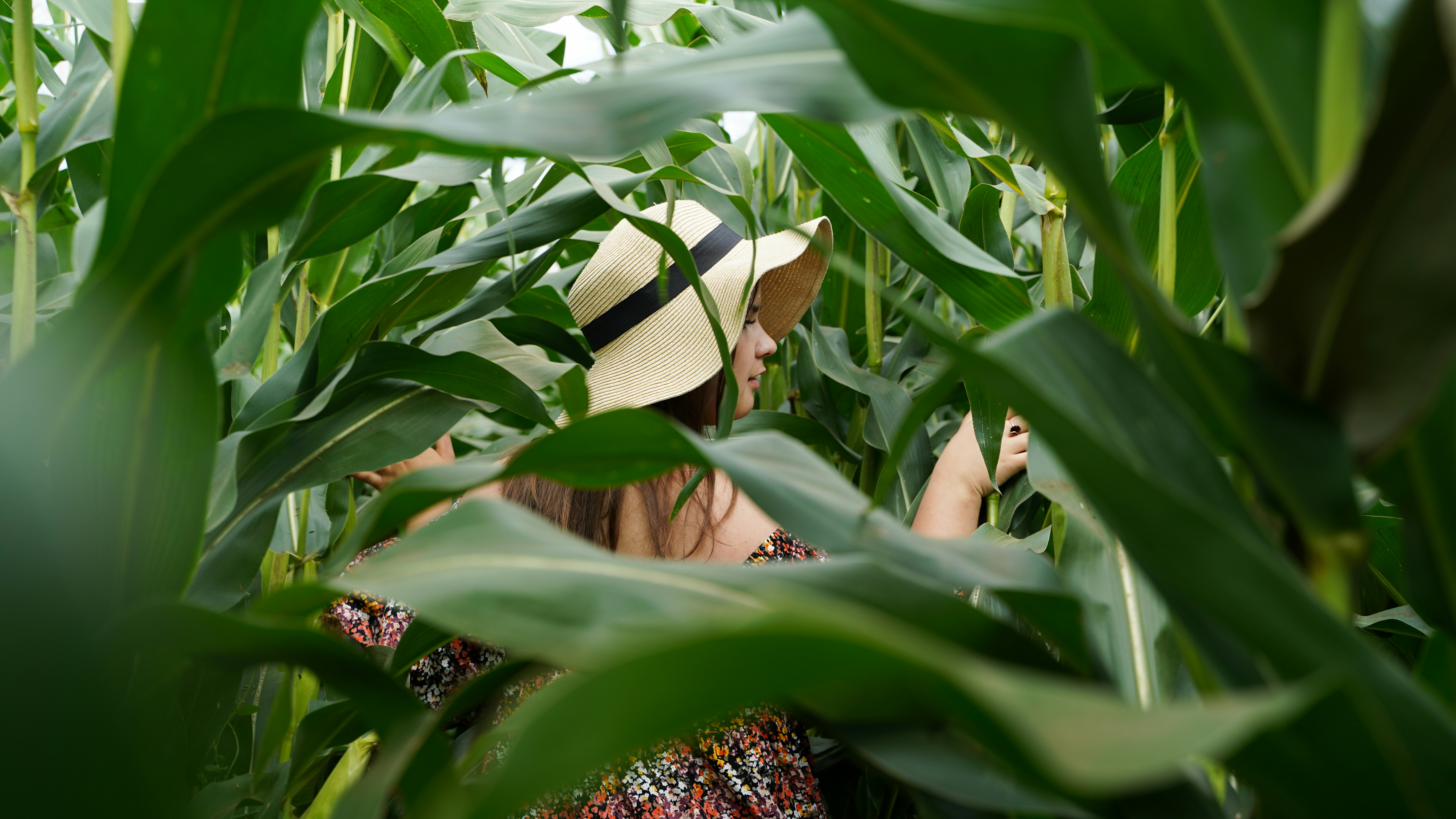 Photo by annabarabanova