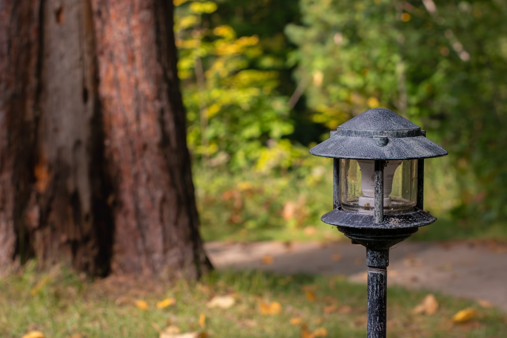 a lamp post with a tree in the background