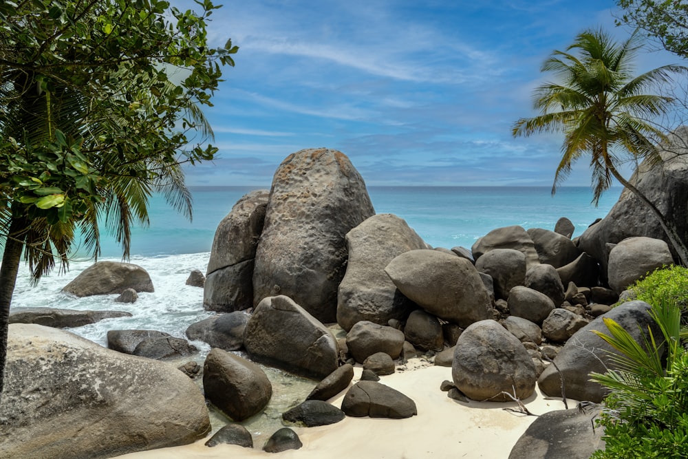a sandy beach with large rocks and palm trees