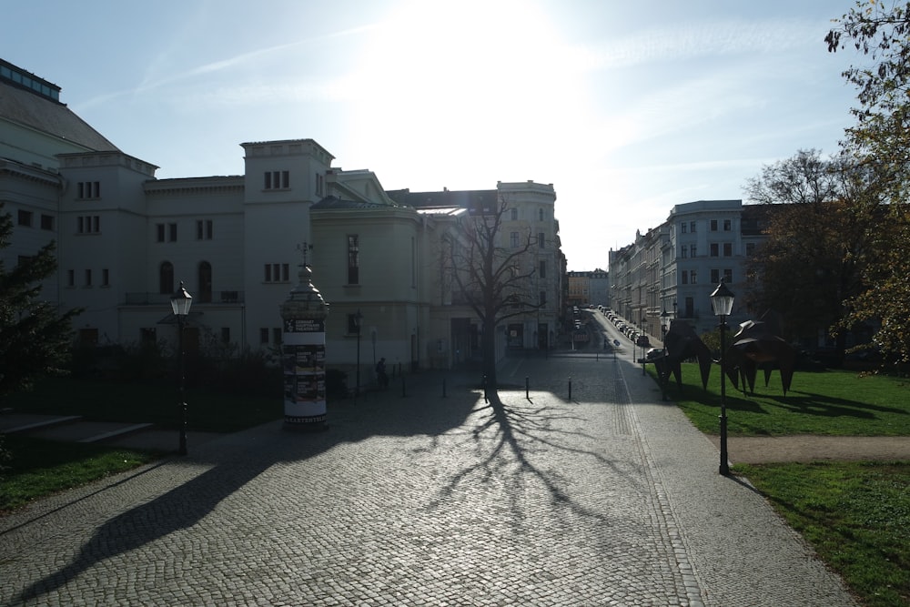 the sun shines brightly on a cobblestone street