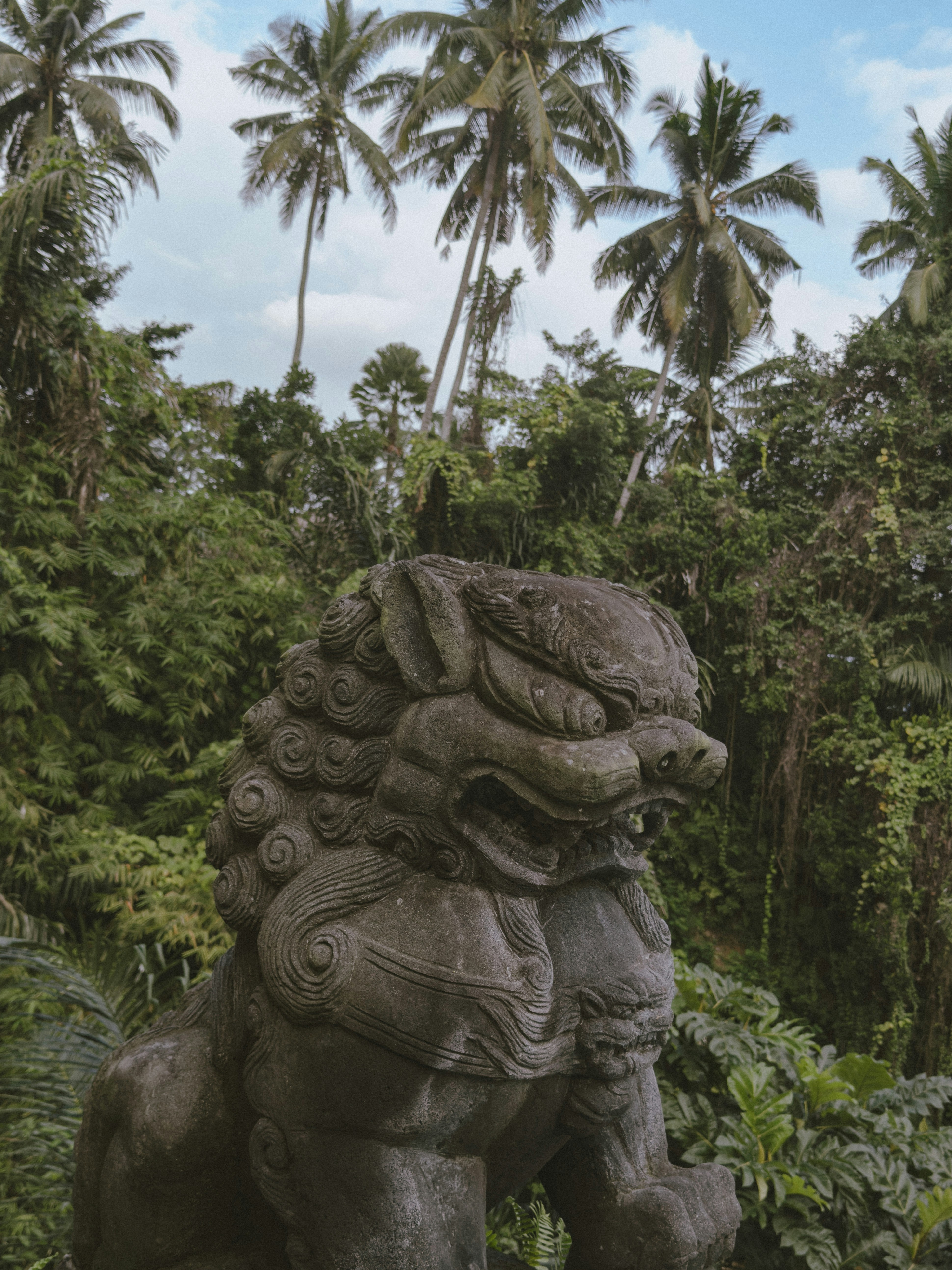 Photo by jorgeromann