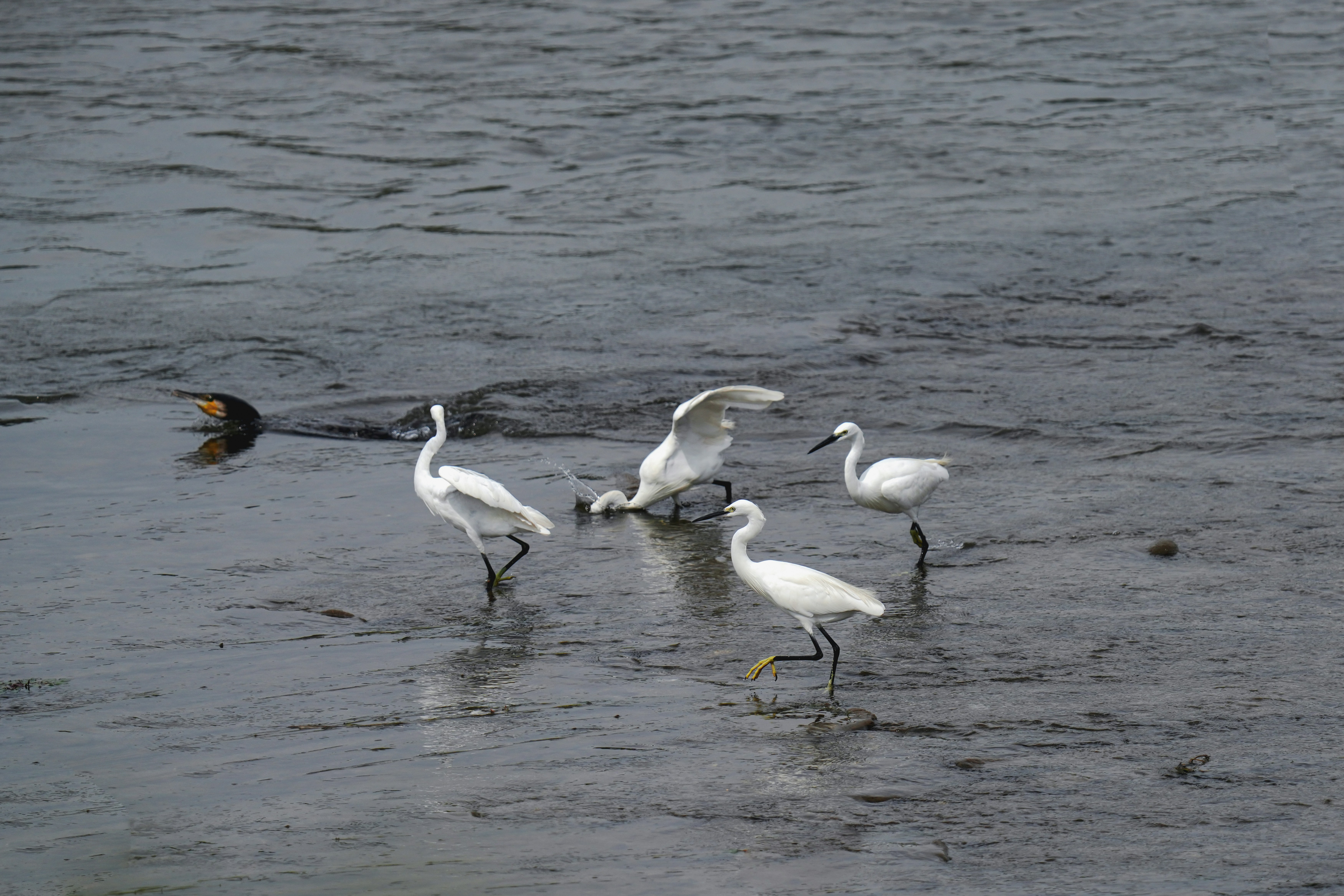 Photo by kim_dae_jeung