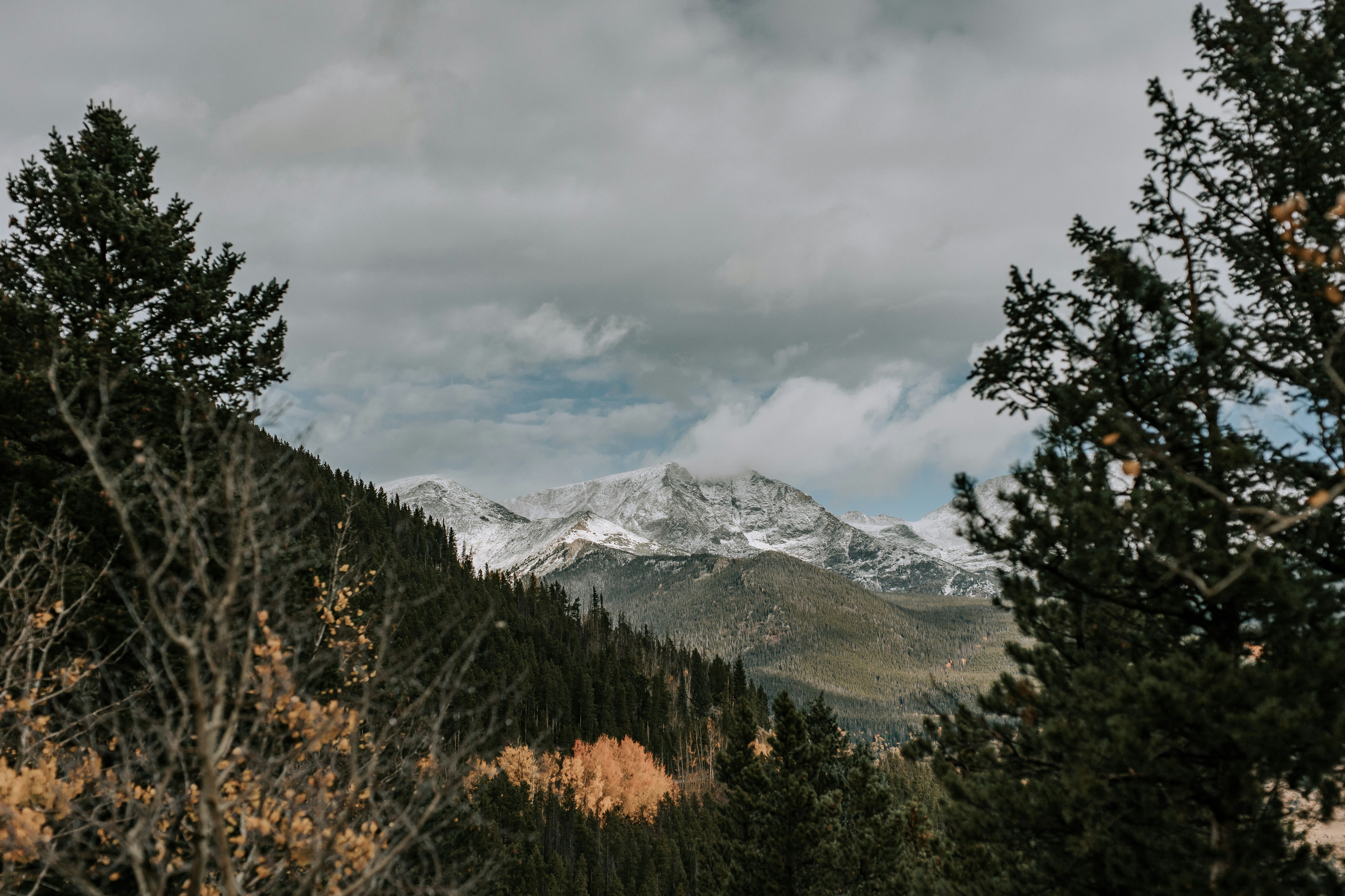 Photo by ianpetercreative