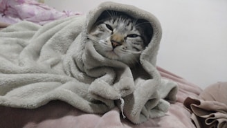 A cat is wrapped snugly in a soft, light-colored blanket with only its face peeking out. The cat appears calm and comfortable, resting on a bed that has various layers of fabric in different colors.