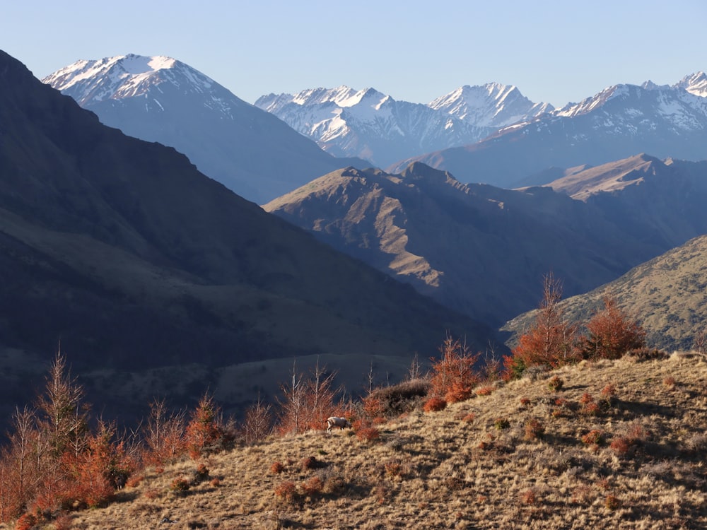 a mountain range with snow capped mountains in the background