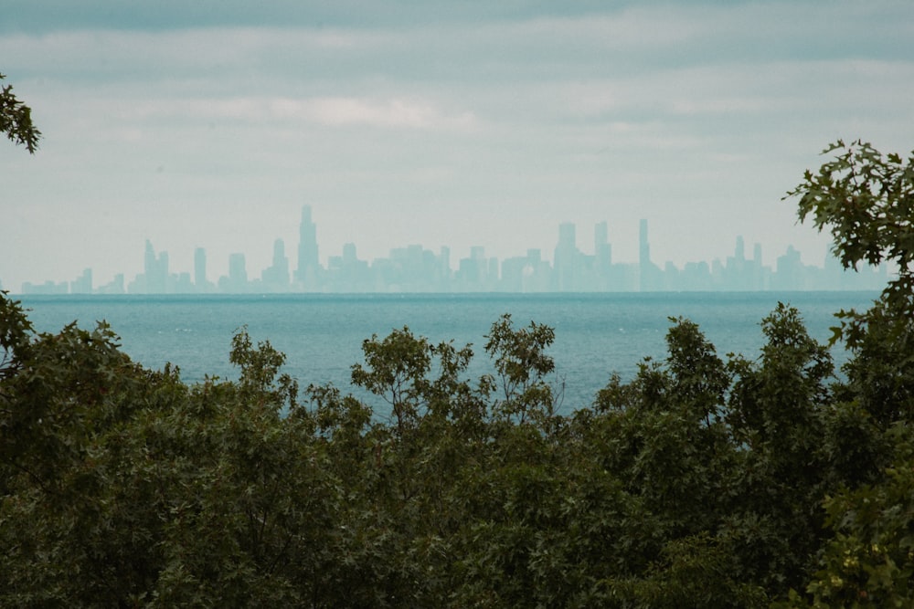 a view of a city from a distance