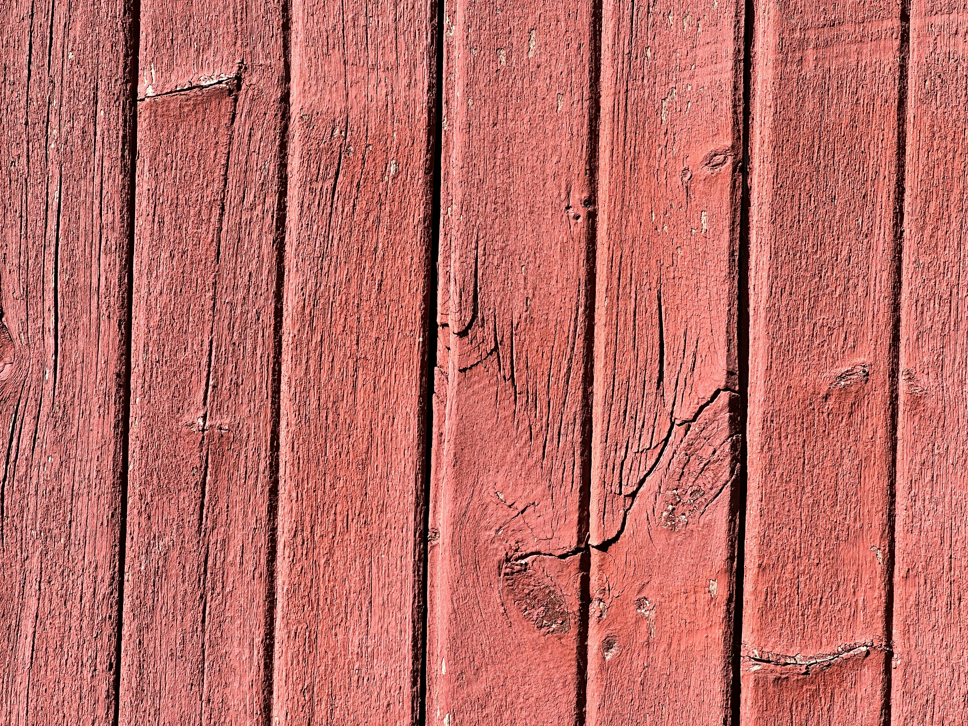 Photo by midkiffaries