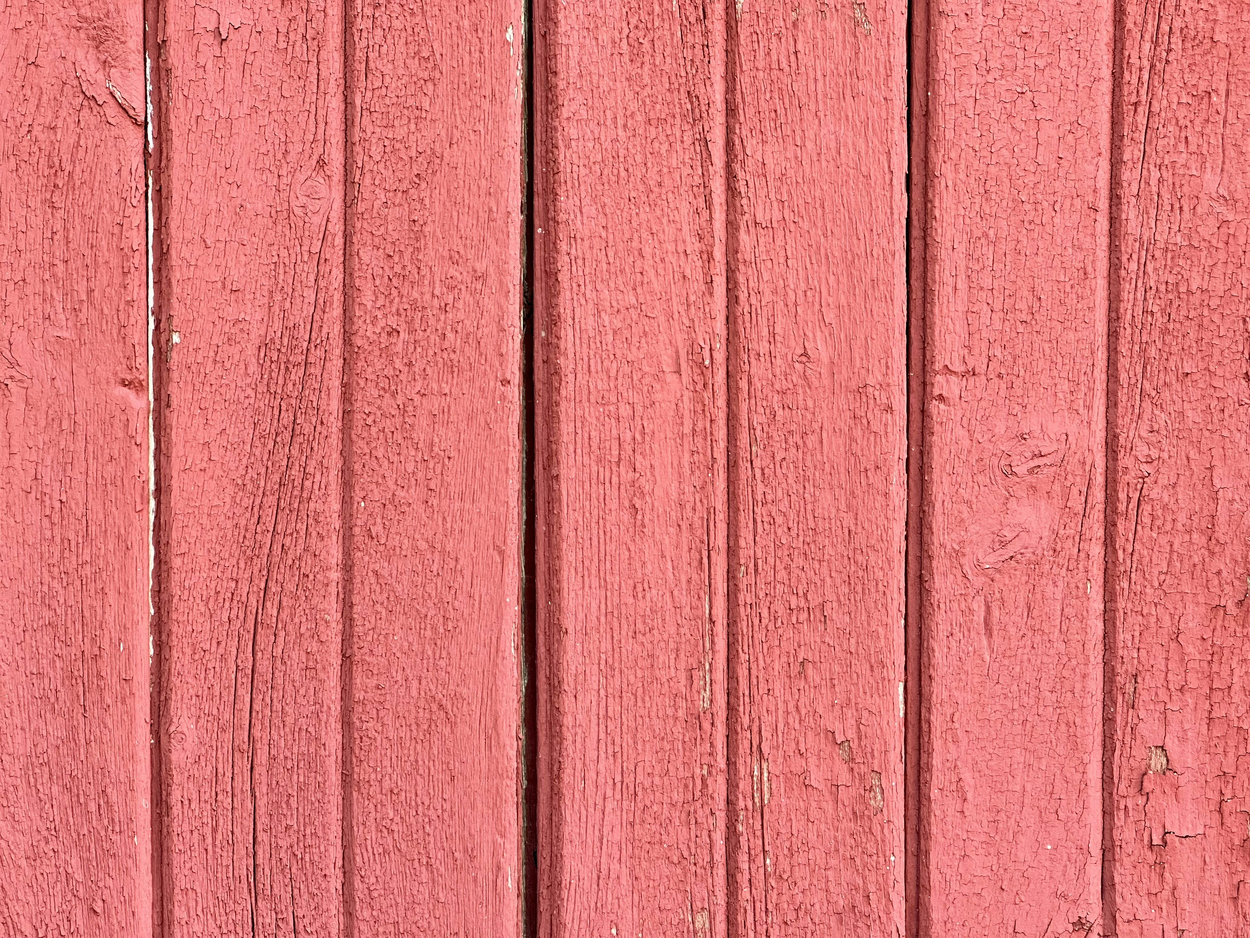 Photo by midkiffaries