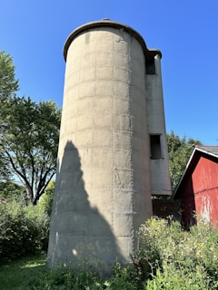A tall concrete silo stands in a grassy area surrounded by wild plants and flowers. To the right, a small part of a red barn is visible. A large tree with lush green leaves stands in the background under a clear blue sky.
