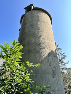 A tall, cylindrical concrete structure resembling a silo stands against a clear blue sky. It appears weathered, with climbing plants and vines partially covering its surface. Lush green foliage grows at the base, providing a stark contrast to the rugged, gray exterior of the tower. Sunlight casts shadows along the structure, adding texture and depth.