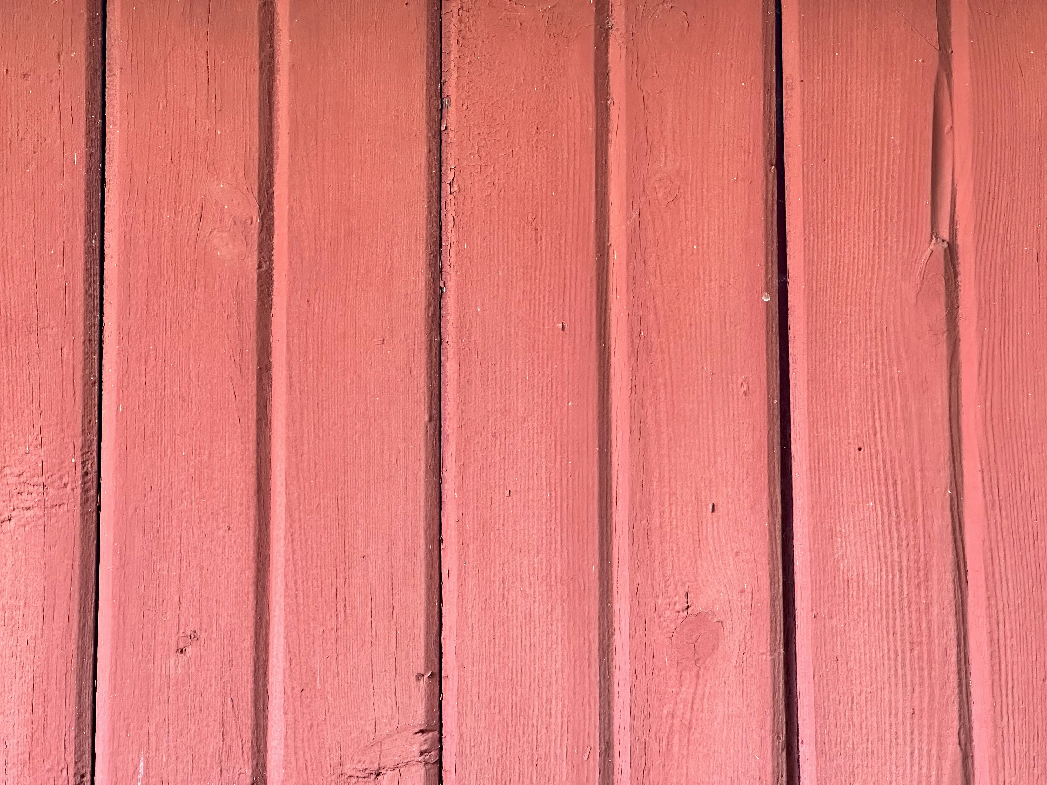 Photo by midkiffaries