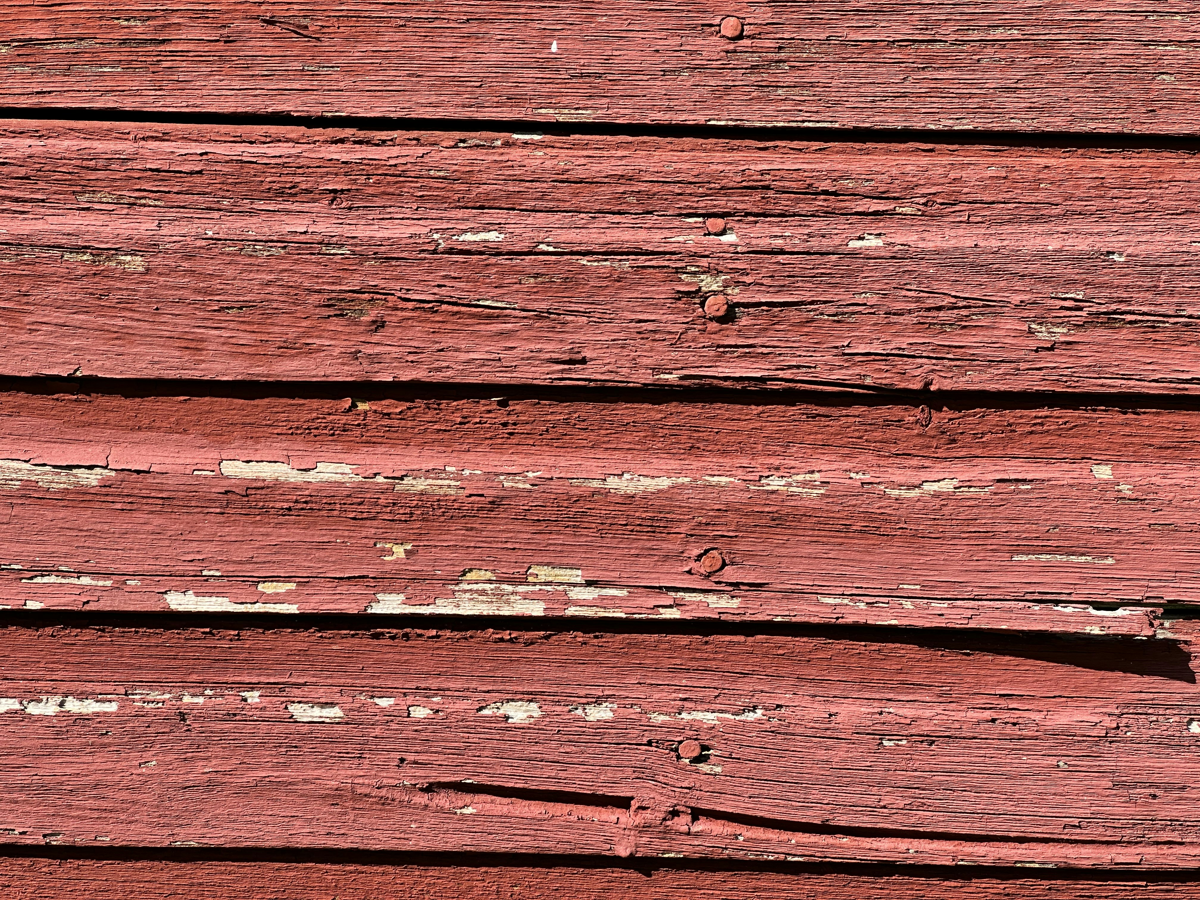 Photo by midkiffaries