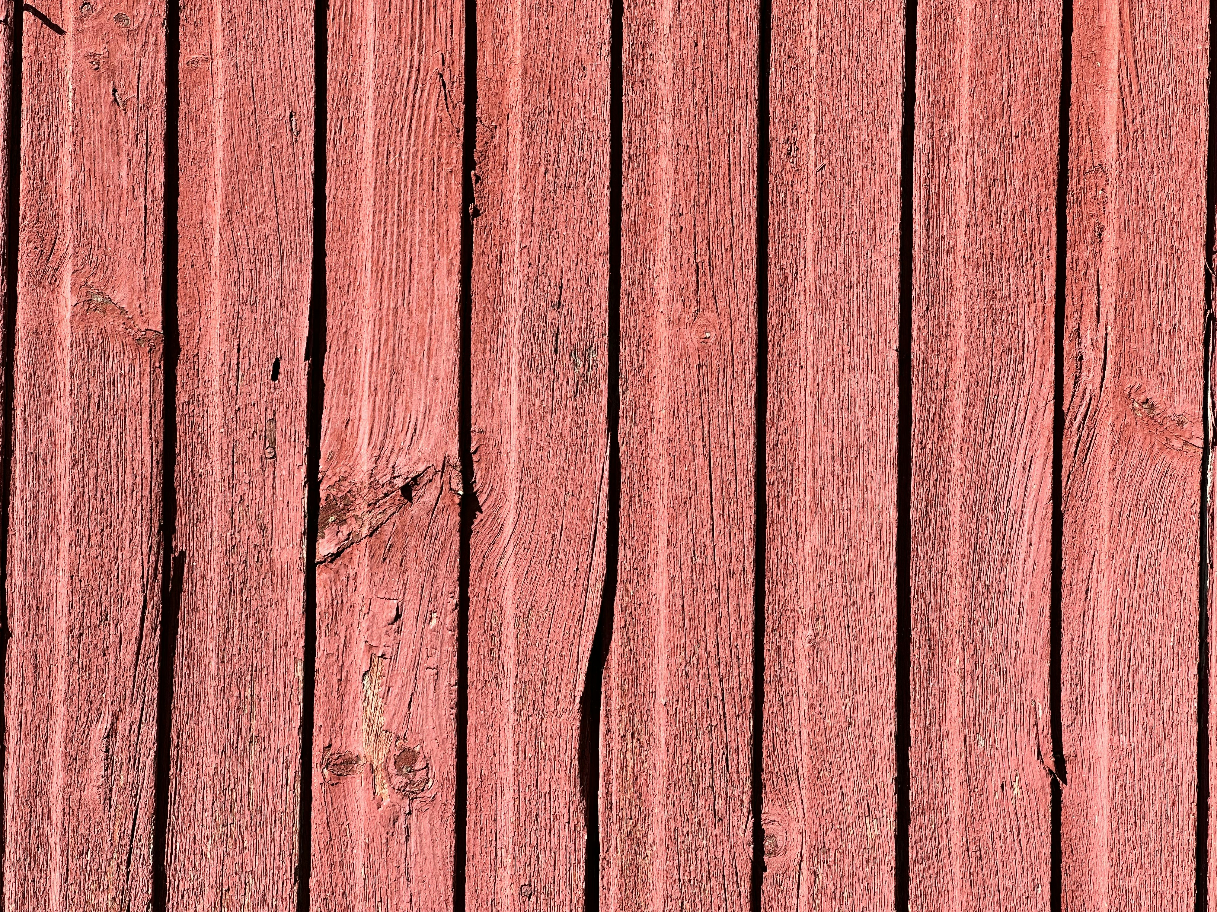 Photo by midkiffaries