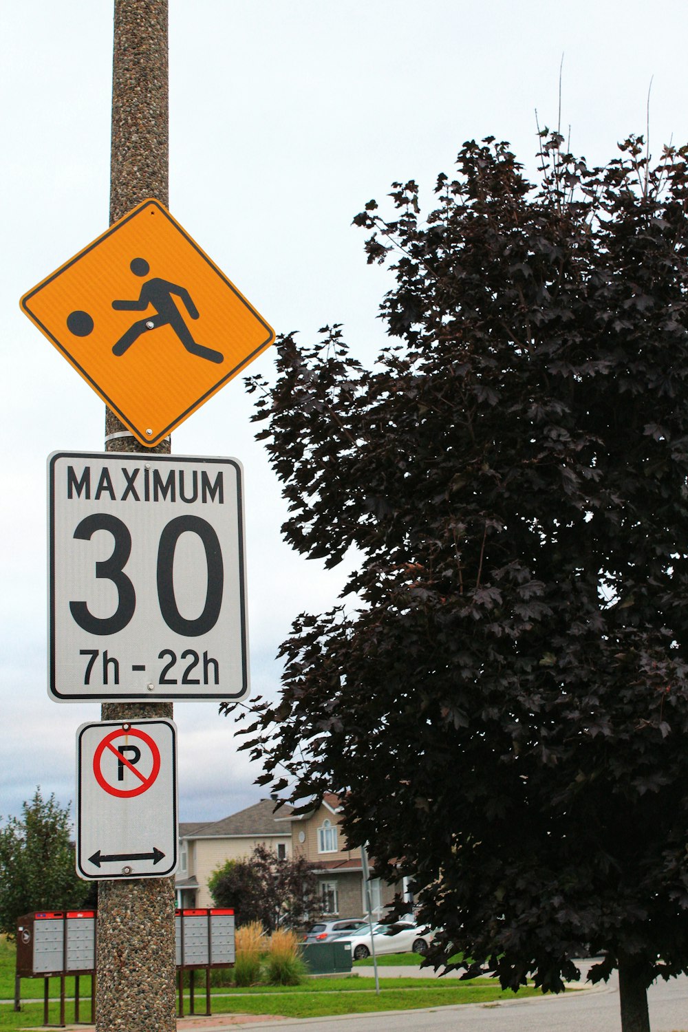 a pole with street signs on it next to a tree