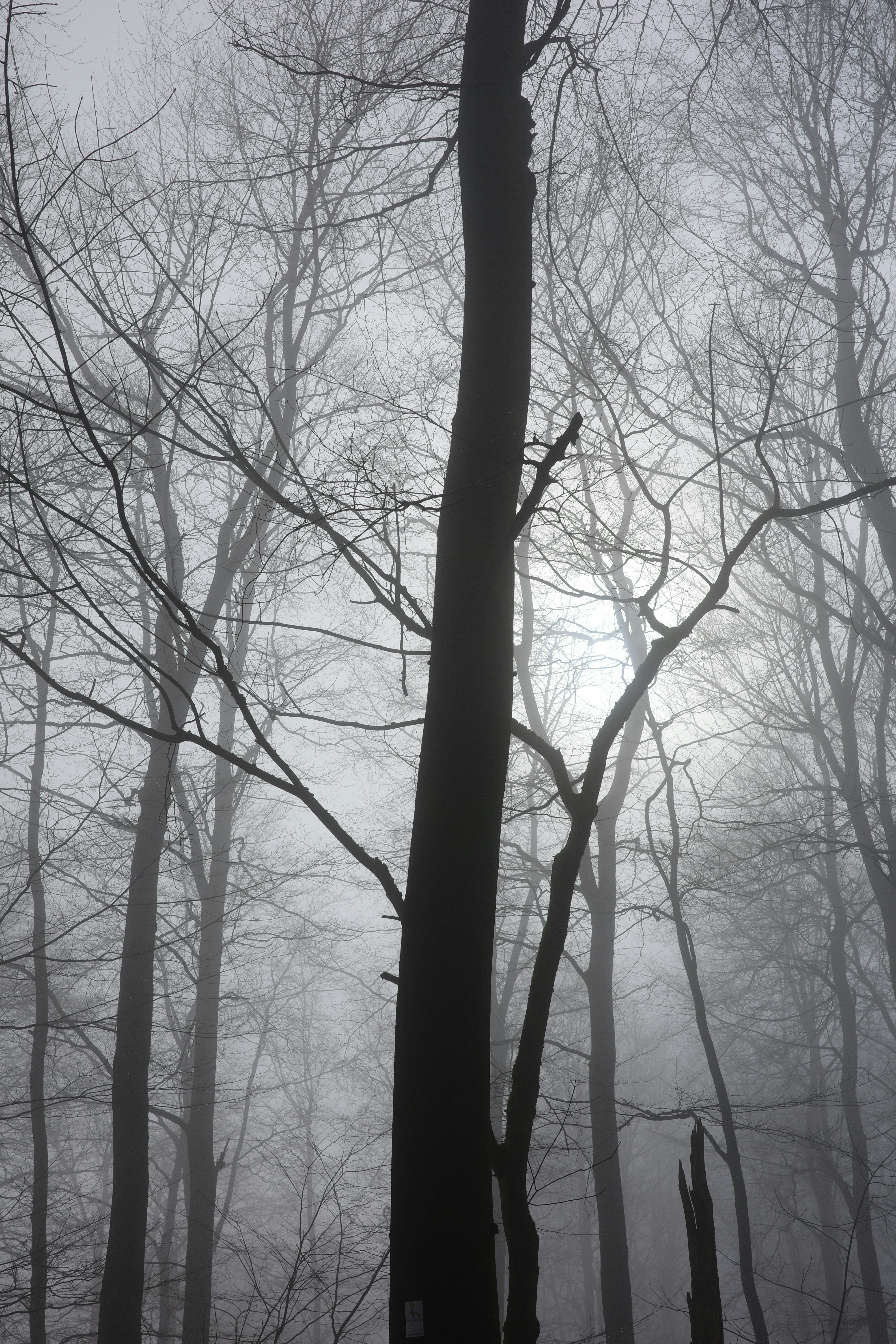 Photo by danielbrandes