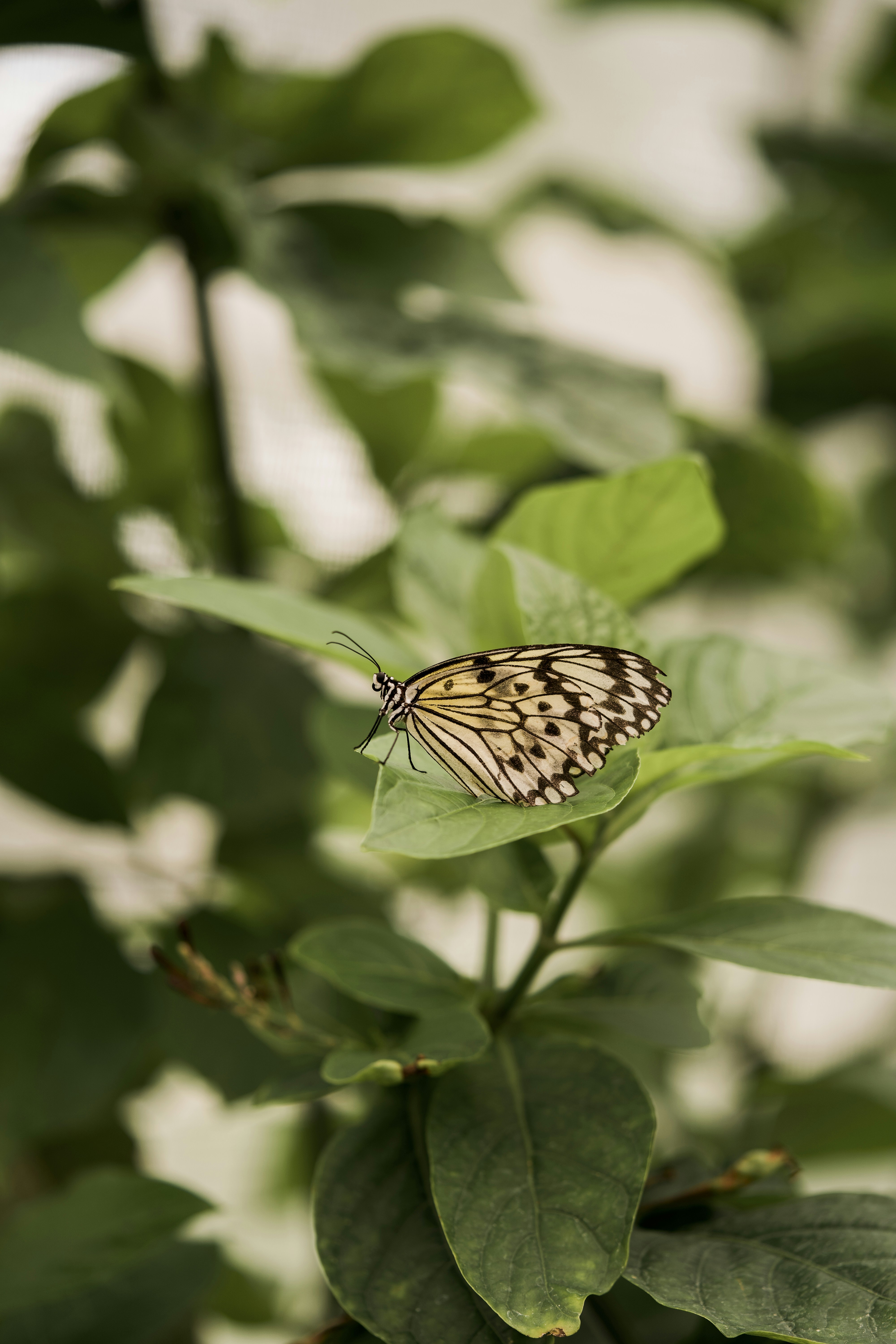 Photo by laptiteminimaliste