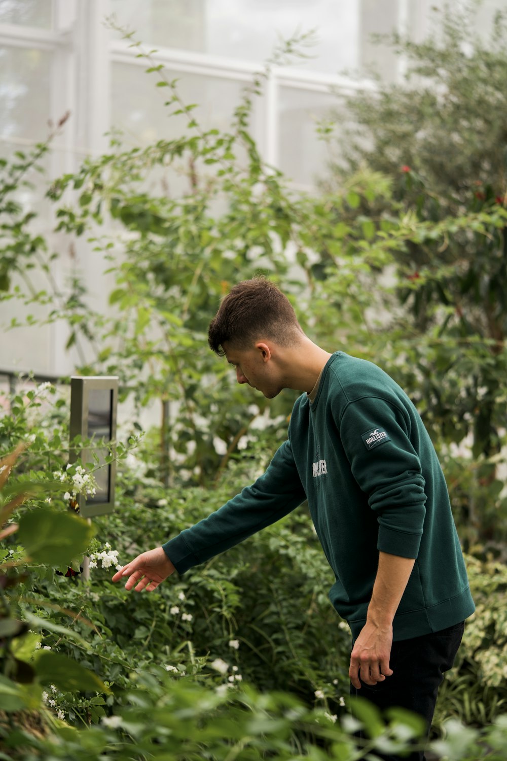 a man in a green shirt looking at plants in a greenhouse