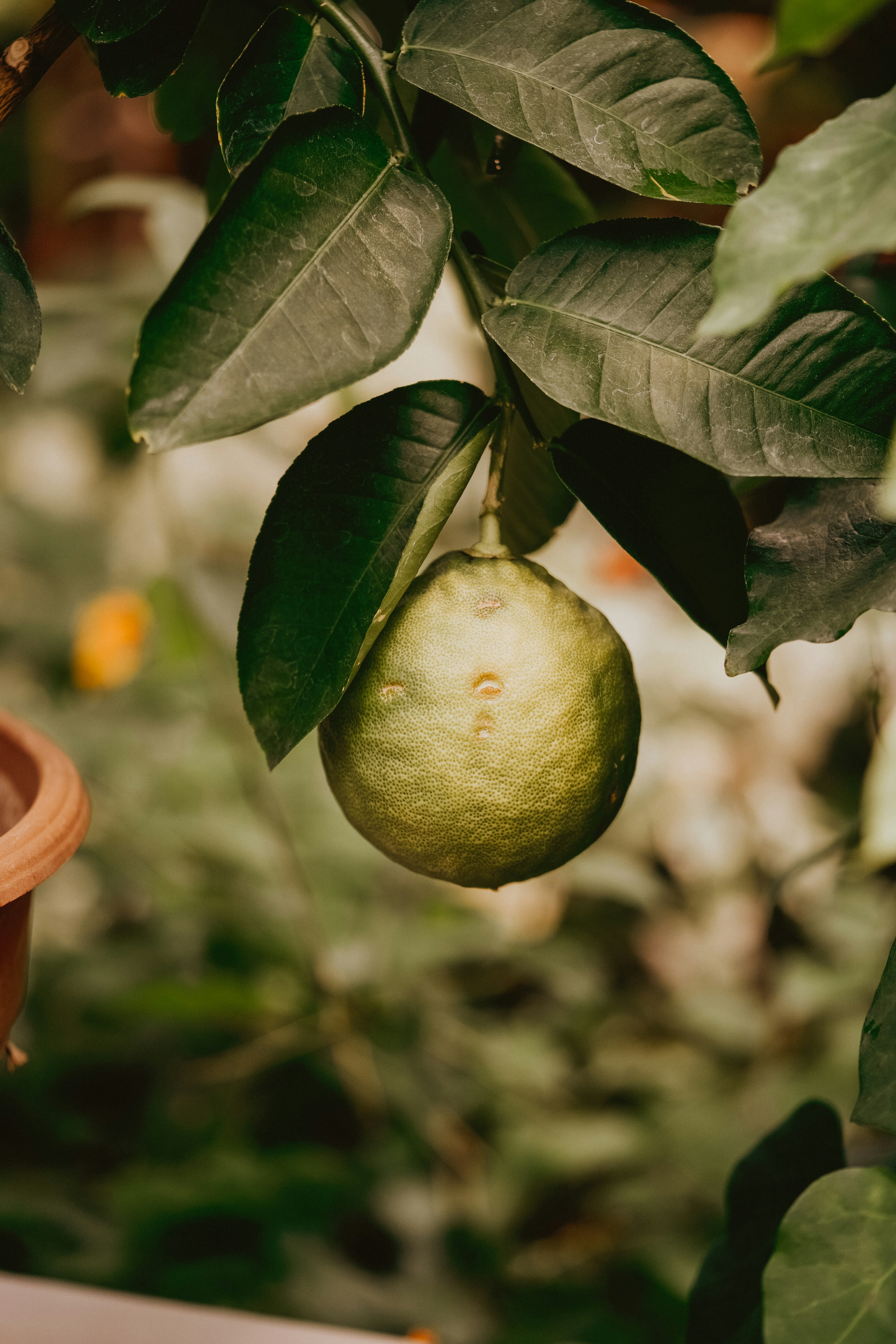 Photo by laptiteminimaliste