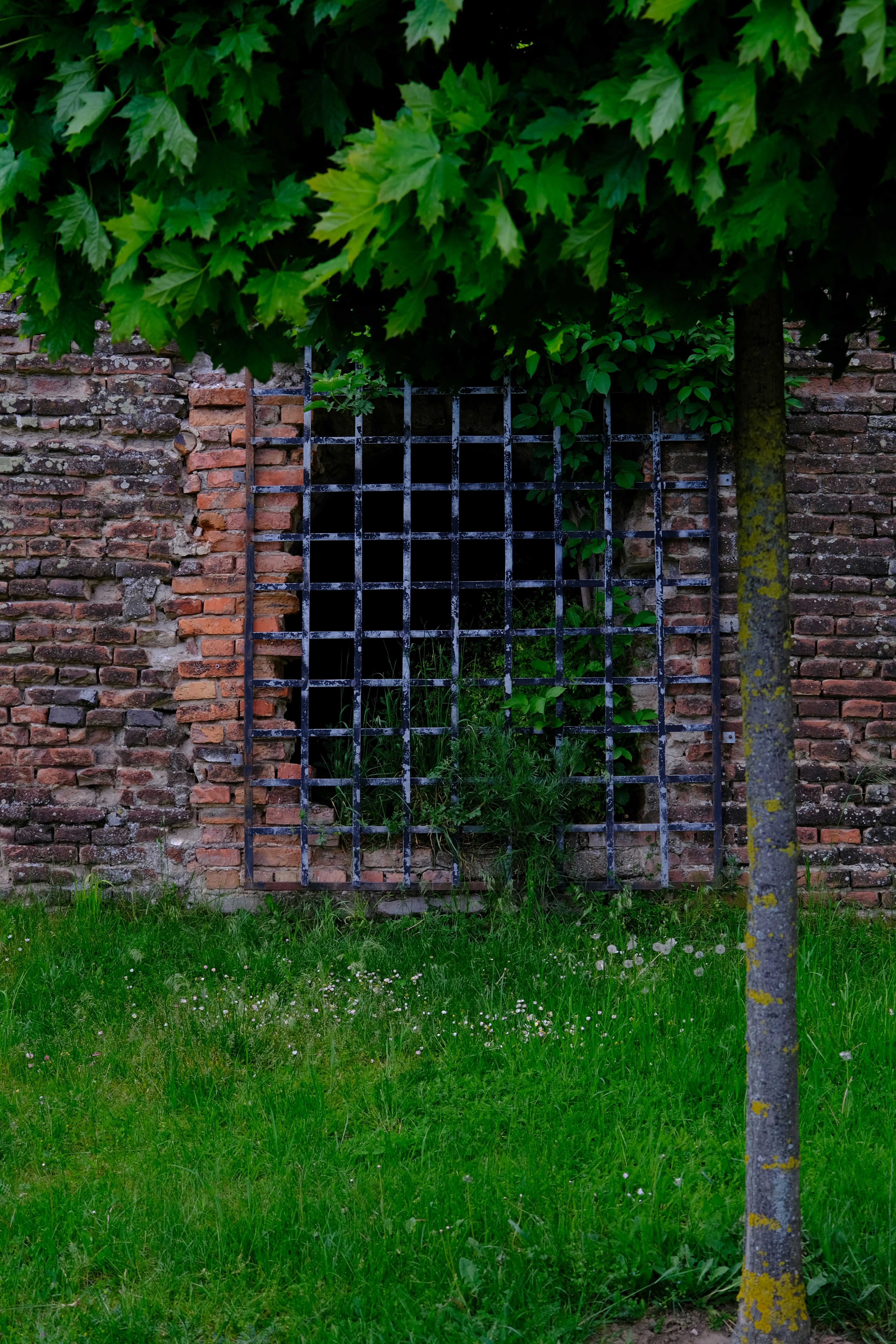 Photo by amadeusmoga